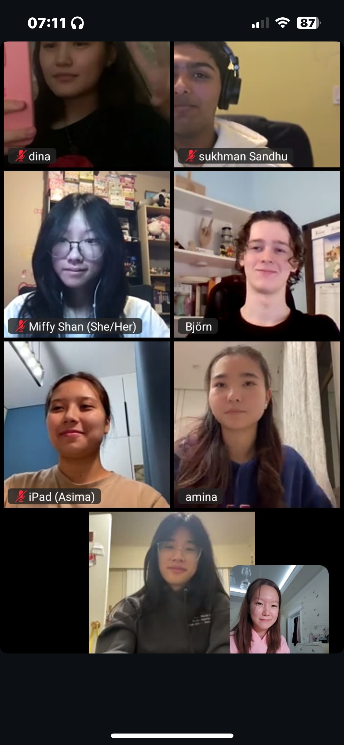 BIL Barbie Zoom Call